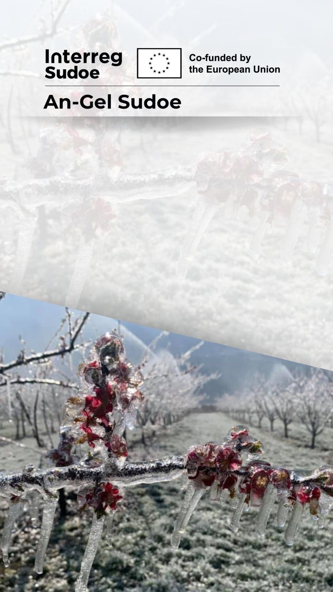 AnGel Interreg Sudoe foto