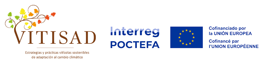 Logo Poctefa Vitisad II