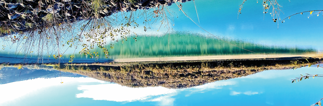 e-Rigation comunicaci�n